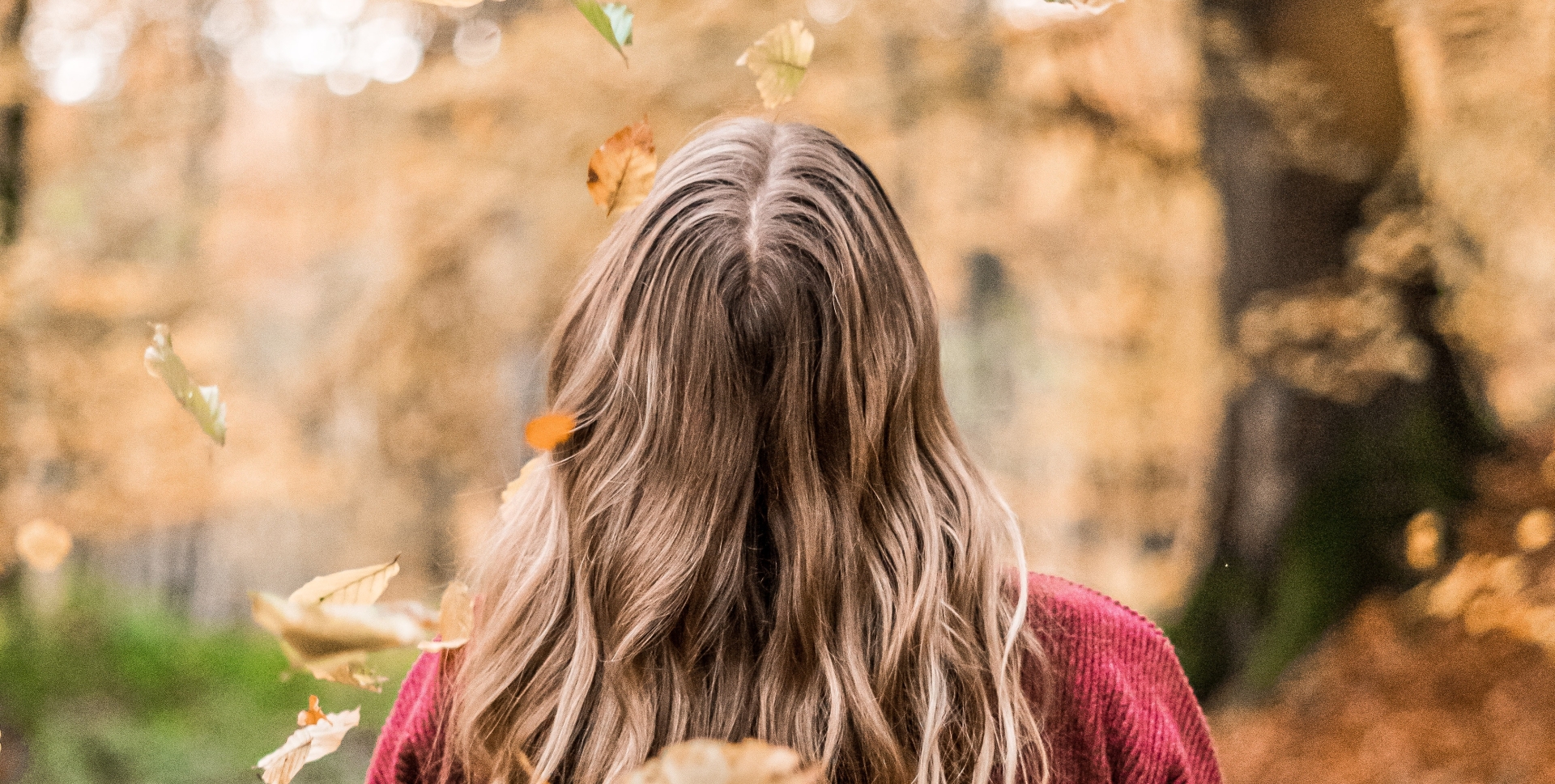Can CBD Help Your Hair? image