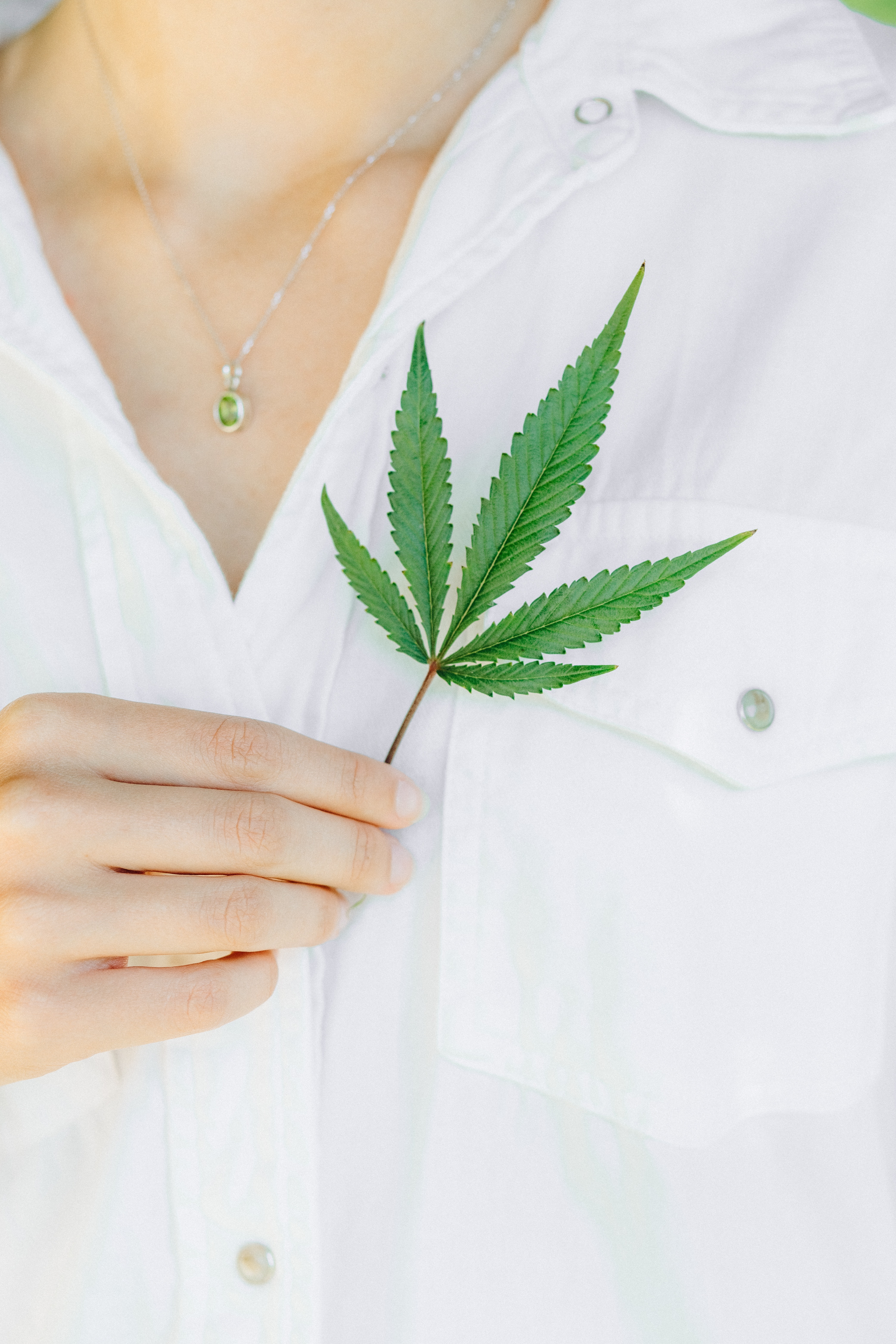 Unterschied zwischen Cannabidiol und Marihuana, Cannabis und Hanf